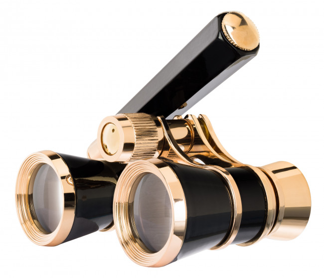 Театральный бинокль-лорнет Levenhuk Broadway 325E, черный Театральный бинокль-лорнет Levenhuk Broadway 325E, черный