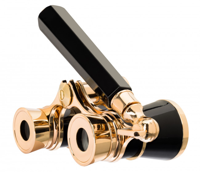 Театральный бинокль-лорнет Levenhuk Broadway 325E, черный Театральный бинокль-лорнет Levenhuk Broadway 325E, черный