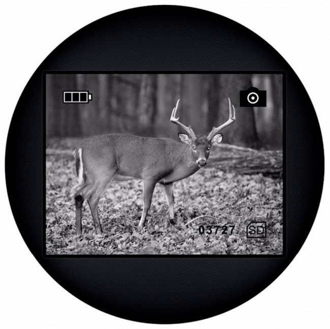 Монокуляр ночного видения Levenhuk Atom Digital DNM100 Монокуляр ночного видения Levenhuk Atom Digital DNM100