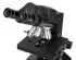 Микроскоп Levenhuk 890B, бинокулярный Микроскоп Levenhuk 890B, бинокулярный