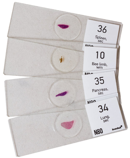 Набор микропрепаратов Levenhuk N80 NG «Увидеть все!»