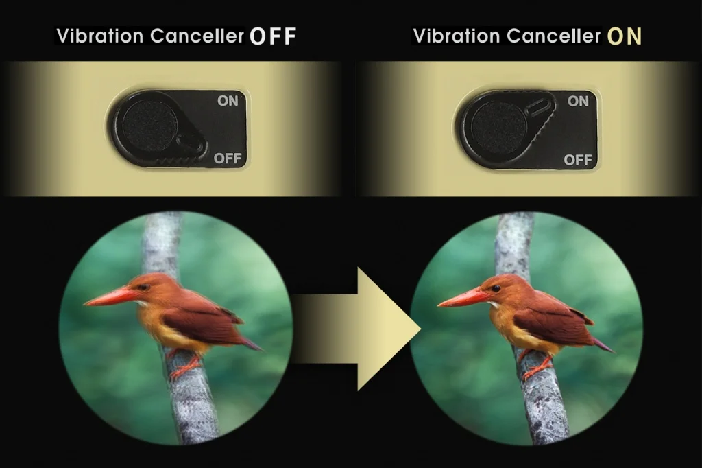 Бинокль VIXEN ATERA H12X30 с оптическим стабилизатором Бинокль VIXEN ATERA H12X30 с оптическим стабилизатором