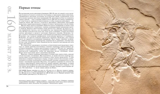Великая Земля. От начала до конца существования нашей планеты. 250 основных вех в истории Земли Великая Земля. От начала до конца существования нашей планеты. 250 основных вех в истории Земли