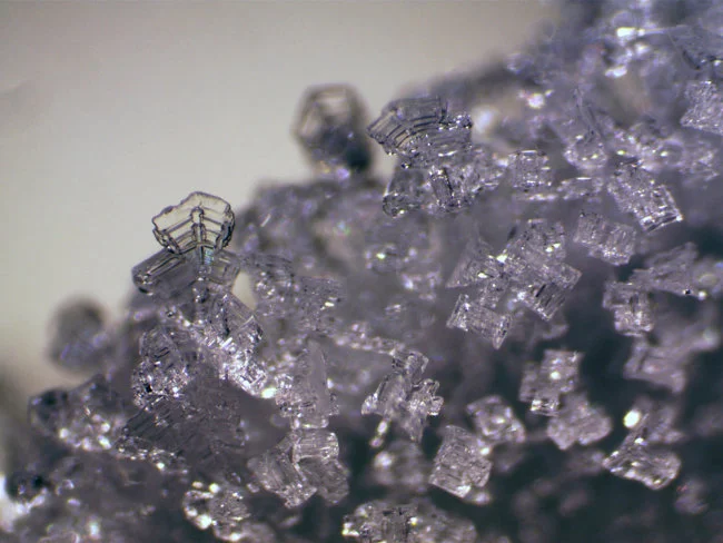 Микроскоп стереоскопический Bresser Erudit ICD 20x/40x Микроскоп стереоскопический Bresser Erudit ICD 20x/40x