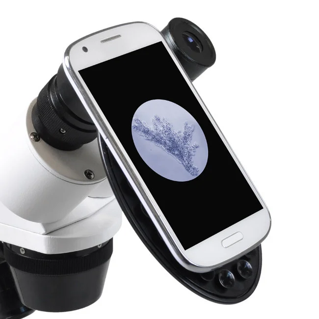 Микроскоп стереоскопический Bresser Erudit ICD 20x/40x Микроскоп стереоскопический Bresser Erudit ICD 20x/40x