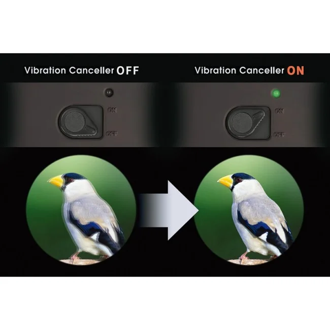 Бинокль Vixen Atera II 16x50 ED WP с оптическим стабилизатором Бинокль Vixen Atera II 16x50 ED WP с оптическим стабилизатором