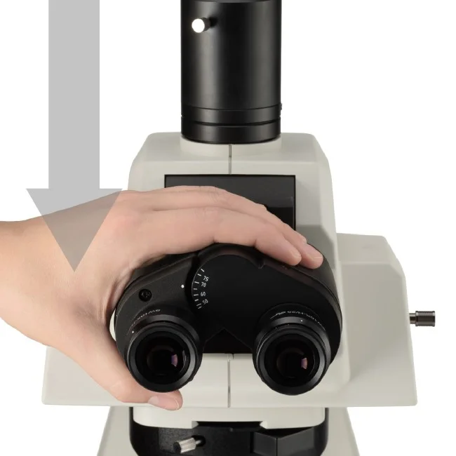 Микроскоп биологический прямой моторизованный Nexcope NE930