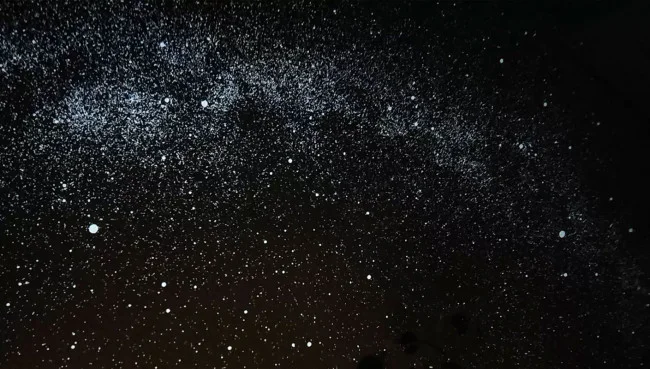 Домашний планетарий Segatoys Homestar Flux Домашний планетарий Segatoys Homestar Flux