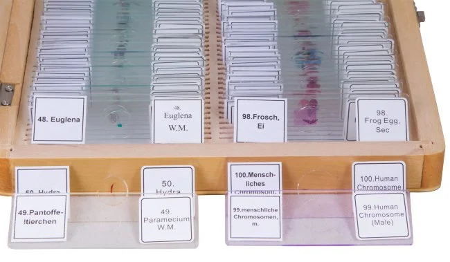 Набор микропрепаратов Bresser 100 шт., в кейсе Набор микропрепаратов Bresser 100 шт., в кейсе