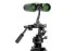 Бинокль Celestron Nature DX 10x32 Roof
