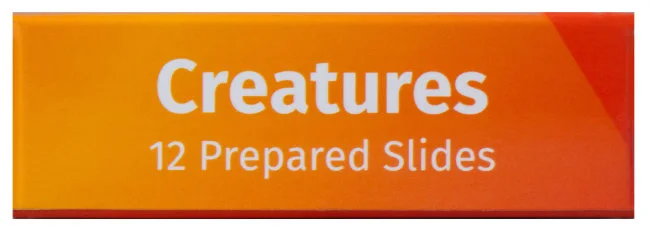 Набор микропрепаратов Levenhuk LabZZ C12, существа Набор микропрепаратов Levenhuk LabZZ C12, существа