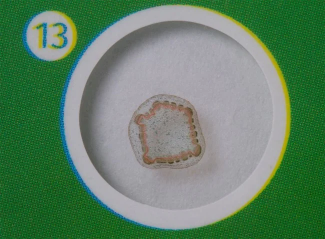 Набор микропрепаратов Levenhuk LabZZ P12, растения Набор микропрепаратов Levenhuk LabZZ P12, растения