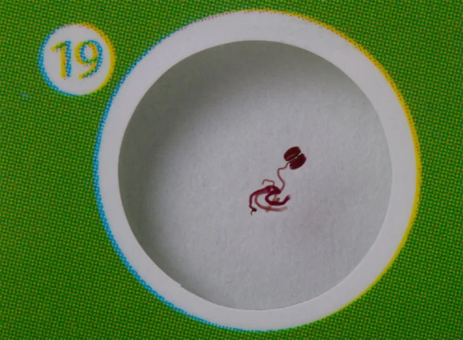 Набор микропрепаратов Levenhuk LabZZ P12, растения Набор микропрепаратов Levenhuk LabZZ P12, растения