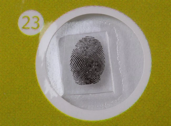 Набор микропрепаратов Levenhuk LabZZ P12, растения Набор микропрепаратов Levenhuk LabZZ P12, растения