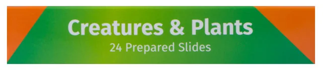 Набор микропрепаратов Levenhuk LabZZ CP24, существа и растения Набор микропрепаратов Levenhuk LabZZ CP24, существа и растения