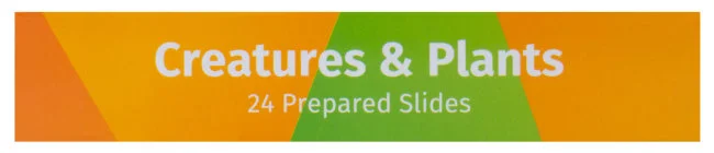 Набор микропрепаратов Levenhuk LabZZ CP24, существа и растения Набор микропрепаратов Levenhuk LabZZ CP24, существа и растения