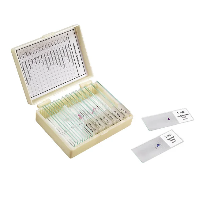 Набор препаратов Микромед "Анатомия и физиология" (16 обр. для школы)