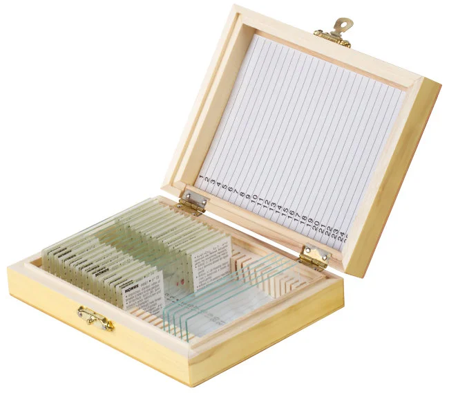 Набор микропрепаратов Konus 15: «Размножение беспозвоночных» Набор микропрепаратов Konus 15: «Размножение беспозвоночных»