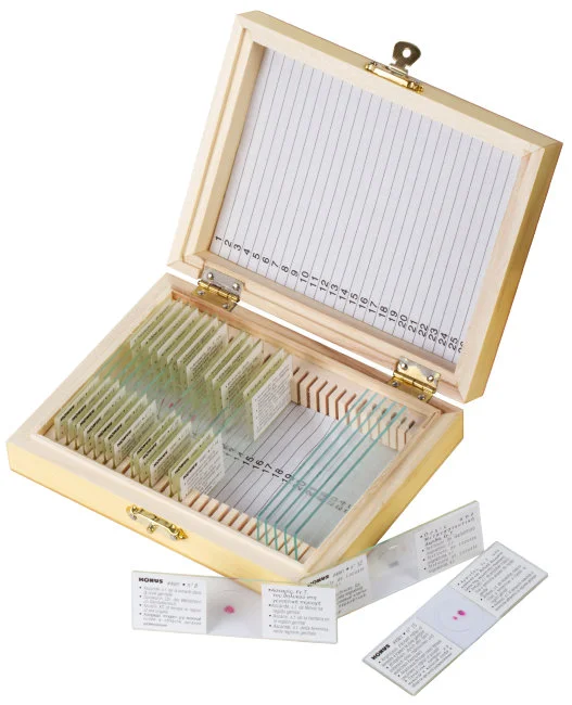 Набор микропрепаратов Konus 15: «Размножение беспозвоночных» Набор микропрепаратов Konus 15: «Размножение беспозвоночных»