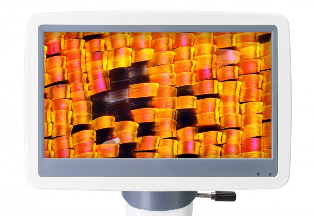Микроскоп цифровой Levenhuk D95L LCD, монокулярный Микроскоп цифровой Levenhuk D95L LCD, монокулярный