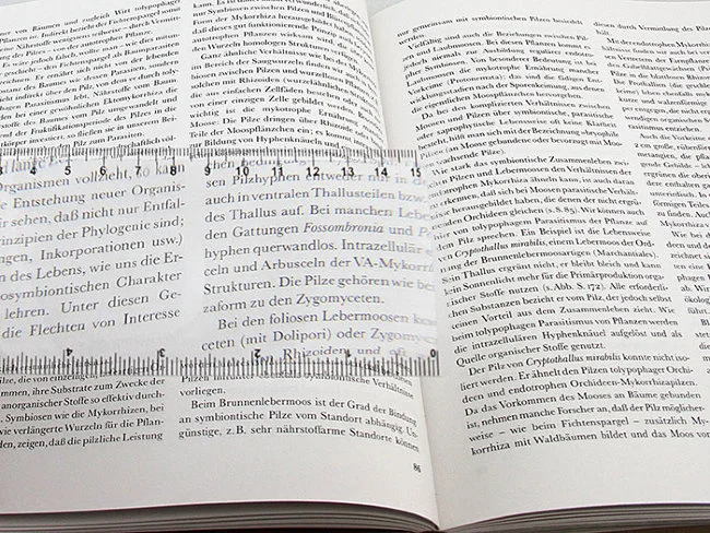 Линза Френеля Veber 3x, 190x65 мм