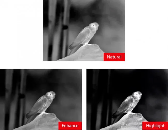 Тепловизионный бинокль Guide TN450 с лазерным дальномером