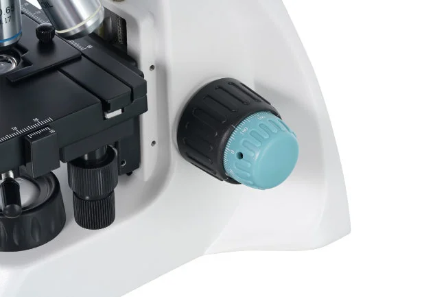 Микроскоп Levenhuk 400B, бинокулярный Микроскоп Levenhuk 400B, бинокулярный