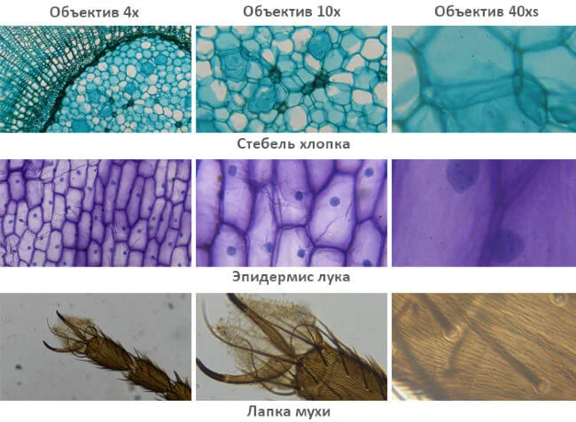 Микроскоп школьный SVBONY SV601 40-1600x