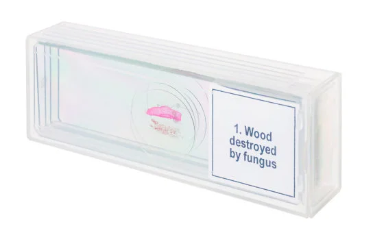 Набор микропрепаратов Discovery Prof DPS 5. «Мутации»