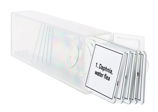 Набор микропрепаратов Discovery Prof DPS 5. «Жизнь в капле воды»