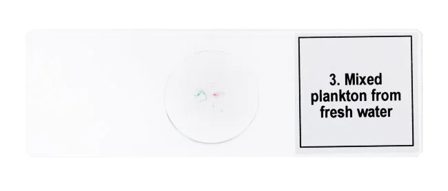 Набор микропрепаратов Discovery Prof DPS 5. «Жизнь в капле воды»