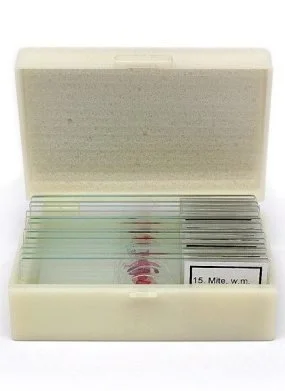 Набор микропрепаратов Альтами "Водные обитатели" (15 стекол) Набор микропрепаратов Альтами "Водные обитатели" (15 стекол)