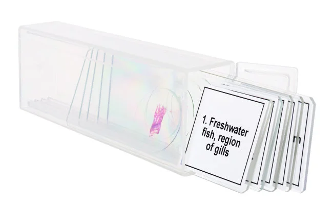 Набор микропрепаратов Discovery Prof DPS 5. «Амфибия» Набор микропрепаратов Discovery Prof DPS 5. «Амфибия»