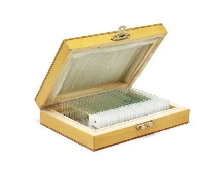 Набор микропрепаратов Альтами "Микромир-25" (25 стекол)