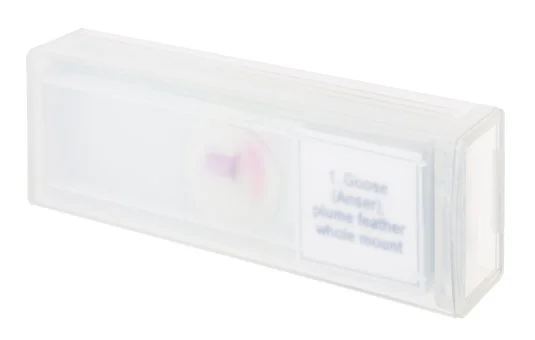 Набор микропрепаратов Discovery Prof DPS 5. «Птицы»