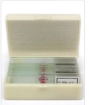 Набор микропрепаратов Альтами "Ткани животных" (15 стекол)