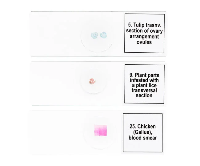 Набор микропрепаратов Discovery Prof DPS 25. «Биология, Птицы и др.»