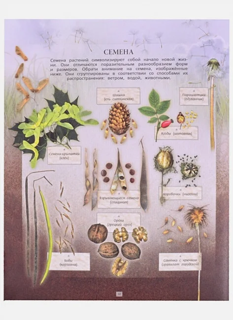 Дневник юного натуралиста