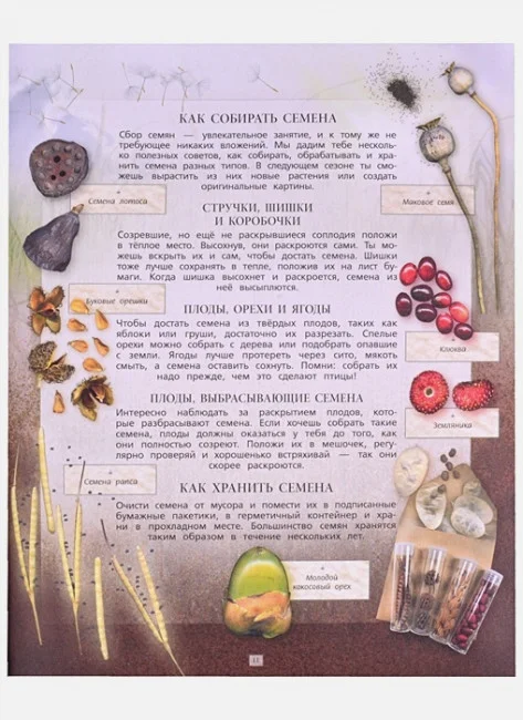 Дневник юного натуралиста