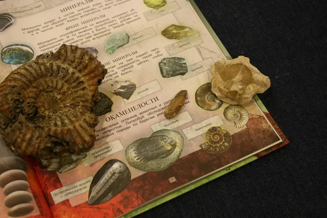 Дневник юного натуралиста