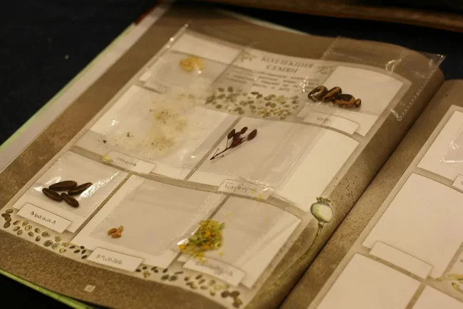 Дневник юного натуралиста