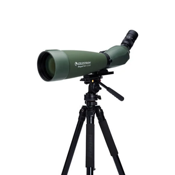 Зрительная труба Celestron Regal M2 100 ED