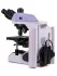 Микроскоп биологический MAGUS Bio 270T