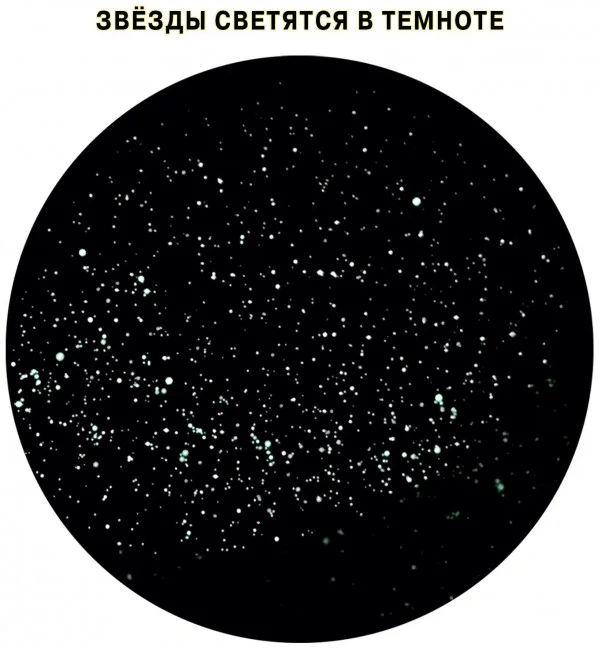 Подвижная карта звёздного неба "Планисфера" (светящаяся в темноте) Подвижная карта звёздного неба "Планисфера" (светящаяся в темноте)