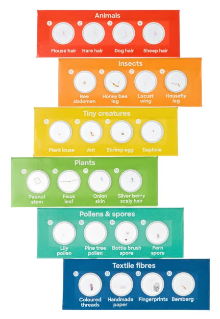 Набор микропрепаратов Discovery «Флора и фауна», 24 шт. Набор микропрепаратов Discovery «Флора и фауна», 24 шт.