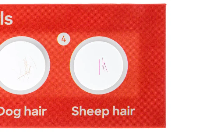 Набор микропрепаратов Discovery «Флора и фауна», 24 шт. Набор микропрепаратов Discovery «Флора и фауна», 24 шт.