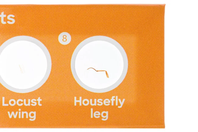 Набор микропрепаратов Discovery «Флора и фауна», 24 шт. Набор микропрепаратов Discovery «Флора и фауна», 24 шт.