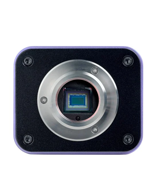 Микроскоп биологический инвертированный цифровой MAGUS Bio VD300 LCD