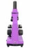 Микроскоп Levenhuk Rainbow 2L PLUS Amethyst\Аметист Микроскоп Levenhuk Rainbow 2L PLUS Amethyst\Аметист