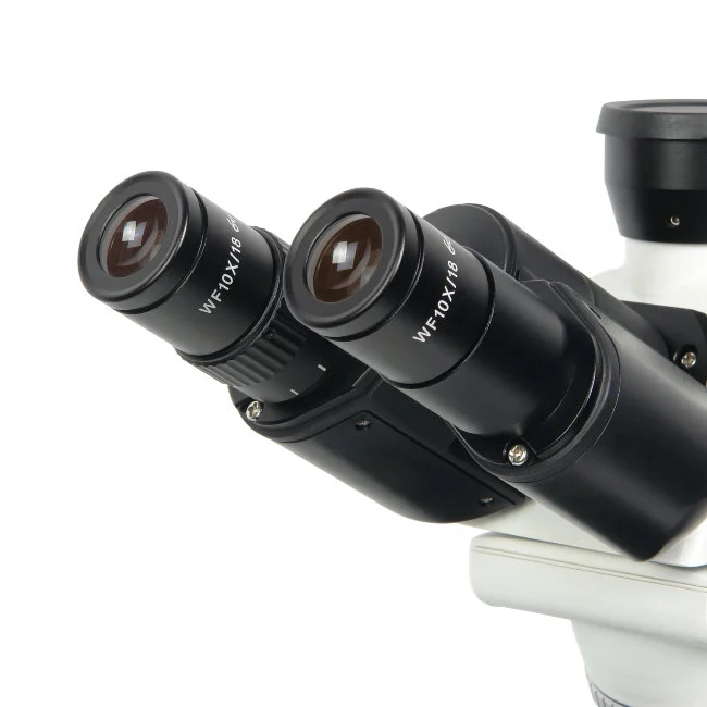 Микроскоп биологический Микромед 1 (3-20 inf.) Микроскоп биологический Микромед 1 (3-20 inf.)